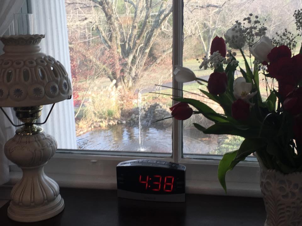 Winridge Manor Bed And Breakfast Madison Heights Luaran gambar